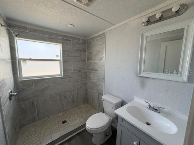 A bathroom features a gray tiled walk-in shower, a white toilet, and a vanity sink — 295 S OAK AVENUE, BARTOW, FL