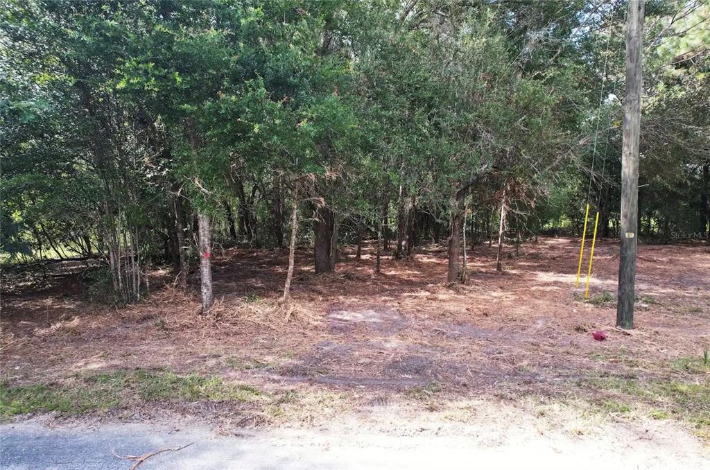 8746 N CATAPANE LOOP, CRYSTAL RIVER, FL — photo 2 of 3