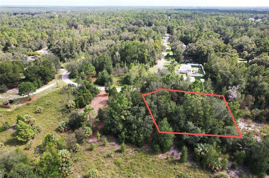 8746 N CATAPANE LOOP, CRYSTAL RIVER, FL — photo 3 of 3