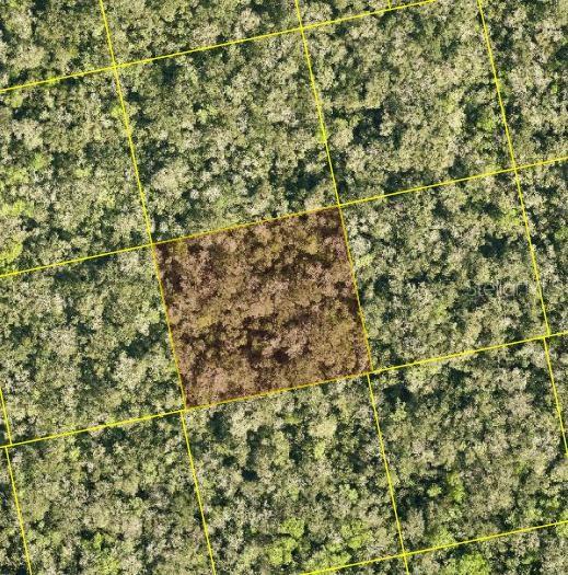 An aerial view shows a rectangular plot of land highlighted within a wooded area — MAYTOWN RD, OAK HILL, FL