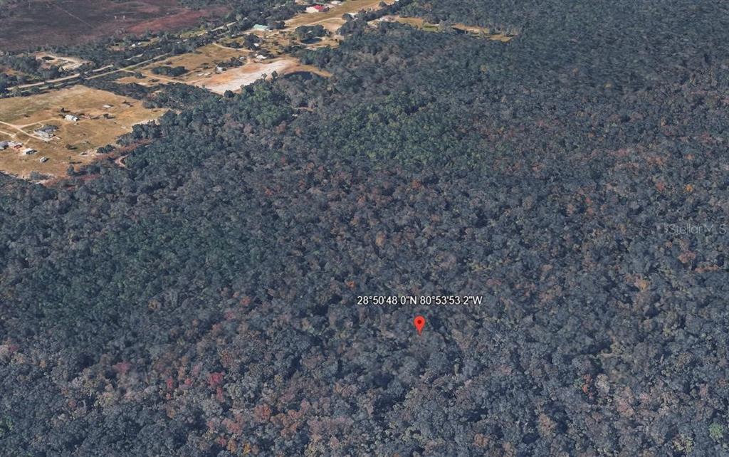 This aerial view shows a dense, forested area adjacent to a rural residential property — MAYTOWN RD, OAK HILL, FL