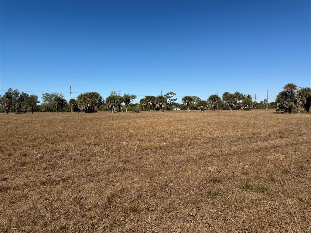 A wide, flat, grassy field under a clear blue sky with distant palm trees — 7 & 9 CHICKADEE LANE, PLACIDA, FL