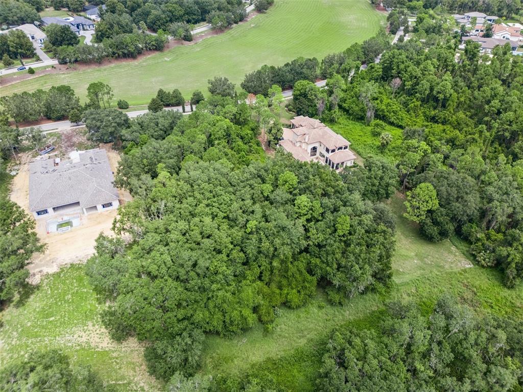 An aerial view shows a large wooded lot between two houses and a grassy field — 17119 ETRUSCAN LANE, MONTVERDE, FL