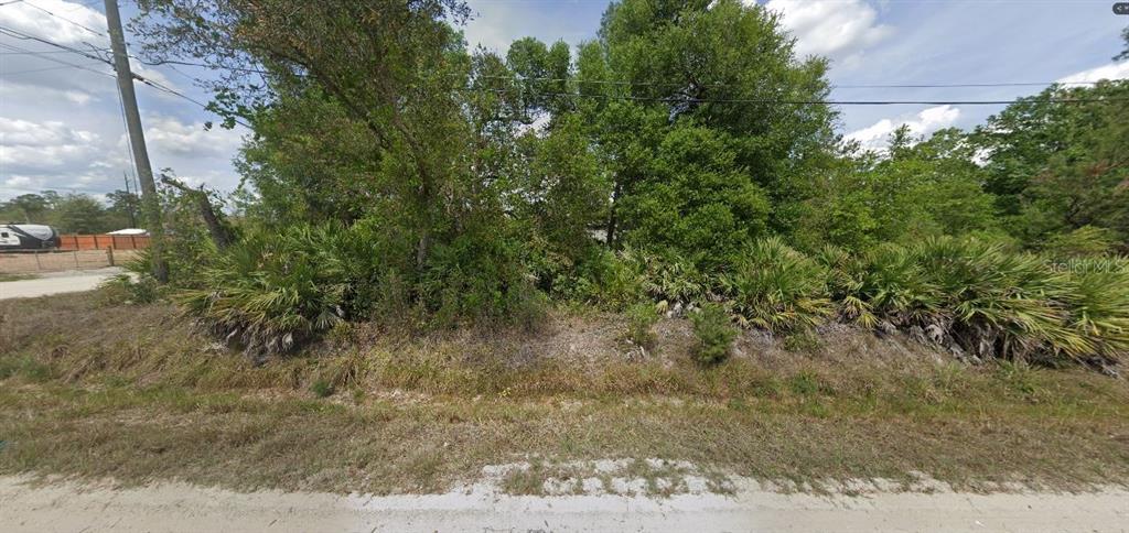 A vacant, wooded lot with dense vegetation and palmettos sits along a dirt road — E ORANGE RD, DELAND, FL