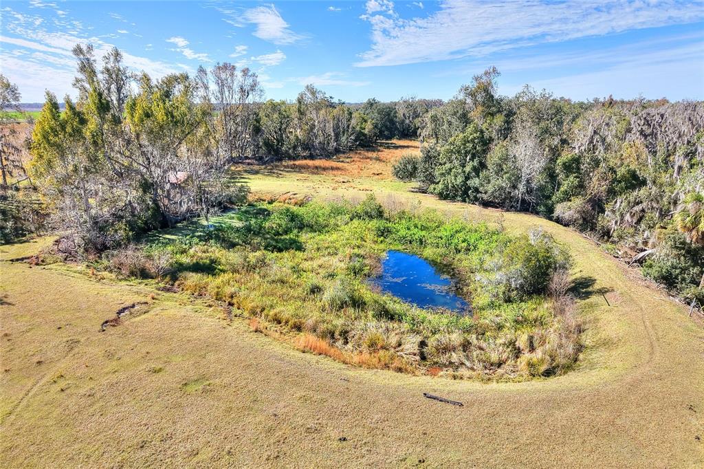 An aerial view shows a small pond surrounded by tall grasses and trees in a field — COLDING LOOP, WIMAUMA, FL