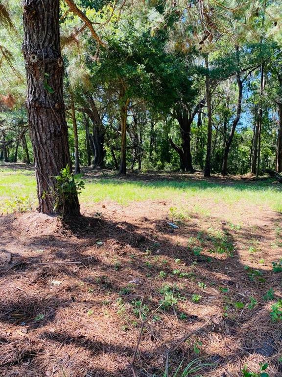 TBD NW 134TH DRIVE, ALACHUA, FL — photo 2 of 14