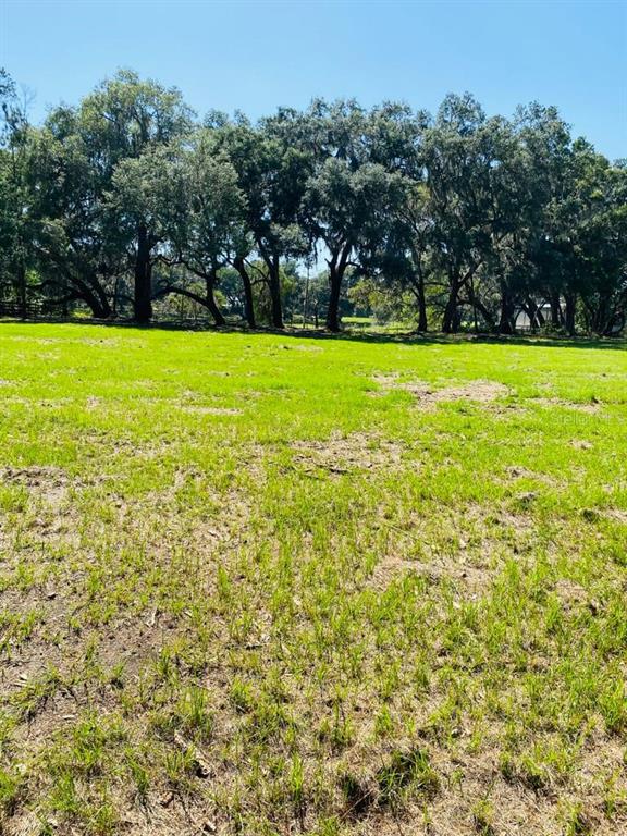 TBD NW 134TH DRIVE, ALACHUA, FL — photo 3 of 14