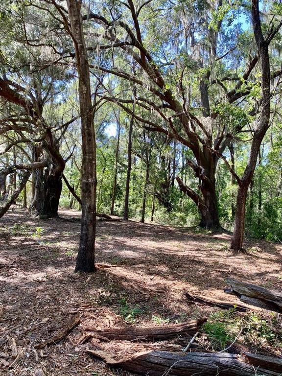 TBD NW 134TH DRIVE, ALACHUA, FL — photo 4 of 14