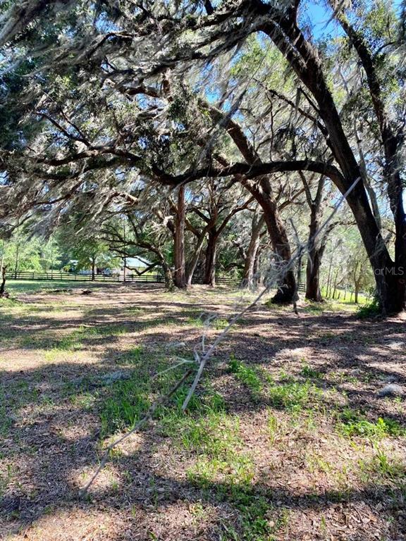 TBD NW 134TH DRIVE, ALACHUA, FL — photo 5 of 14