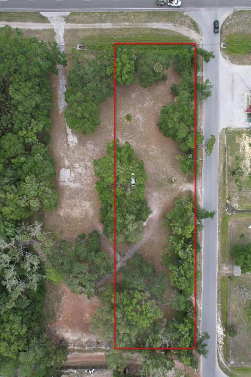 An aerial view shows a rectangular plot of land outlined in red with scattered trees — 24926 E COLONIAL DRIVE, CHRISTMAS, FL