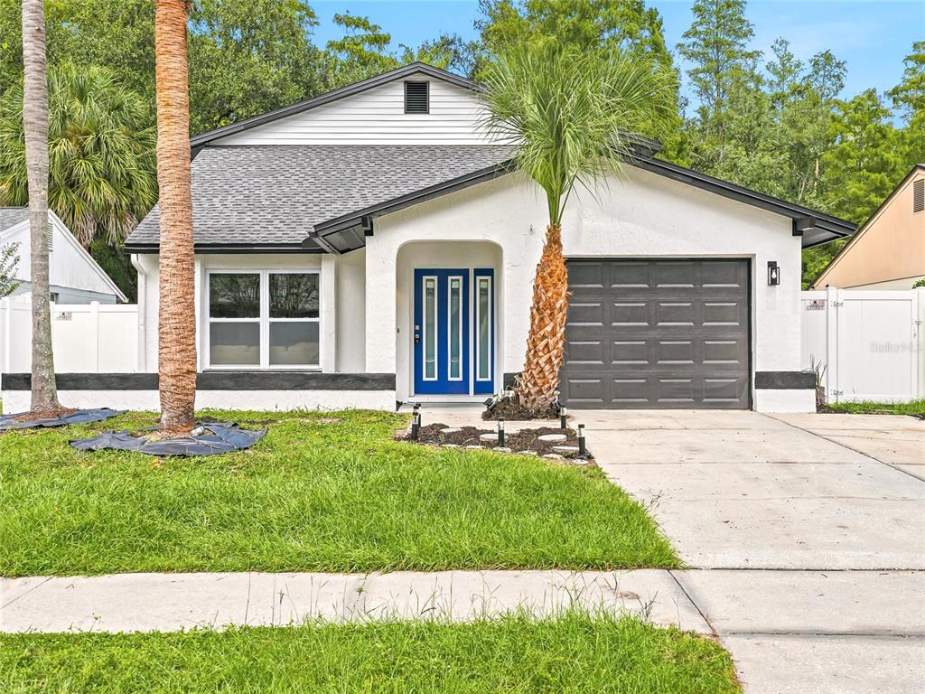 A single-story house with a white stucco exterior, a blue front door, and a palm tree — 15924 WINDING DR, TAMPA, FL