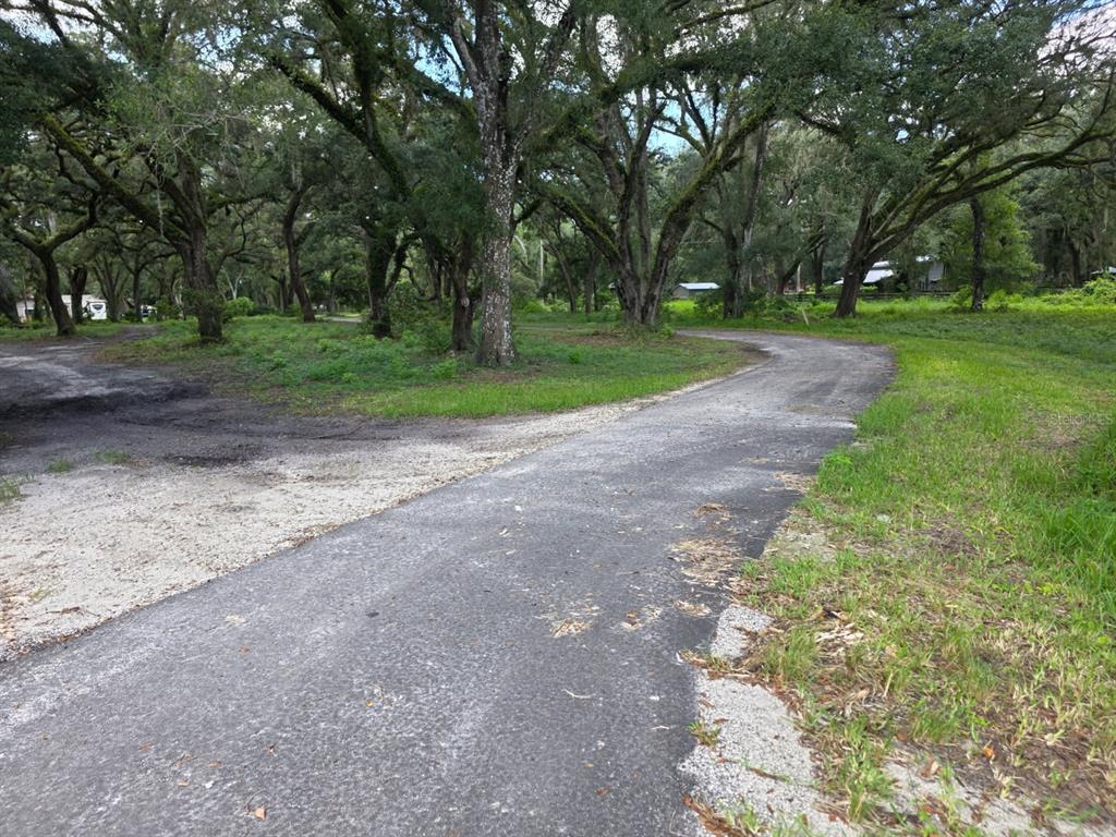 10576 S US HIGHWAY 301, WEBSTER, FL — photo 2 of 22