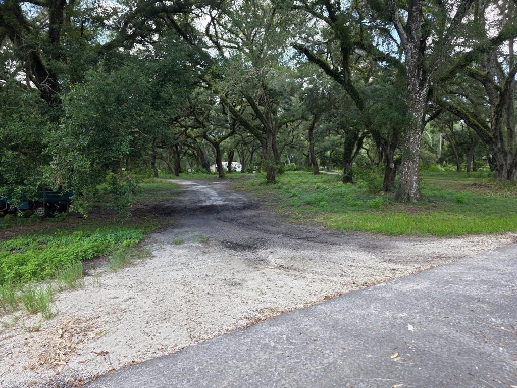 10576 S US HIGHWAY 301, WEBSTER, FL — photo 4 of 22