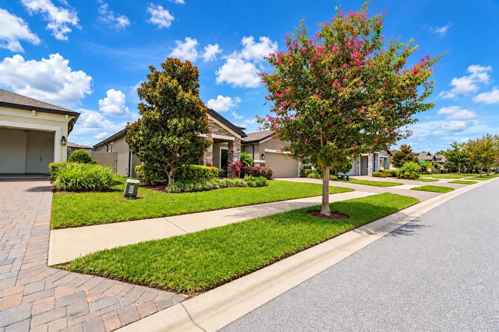 1741 CHERRY WALK ROAD, LUTZ, FL — photo 3 of 30