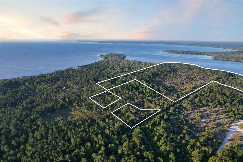 An aerial view shows a large, wooded plot of land outlined in white near a lake — 356 DRAYTON ISLAND ROAD, GEORGETOWN, FL
