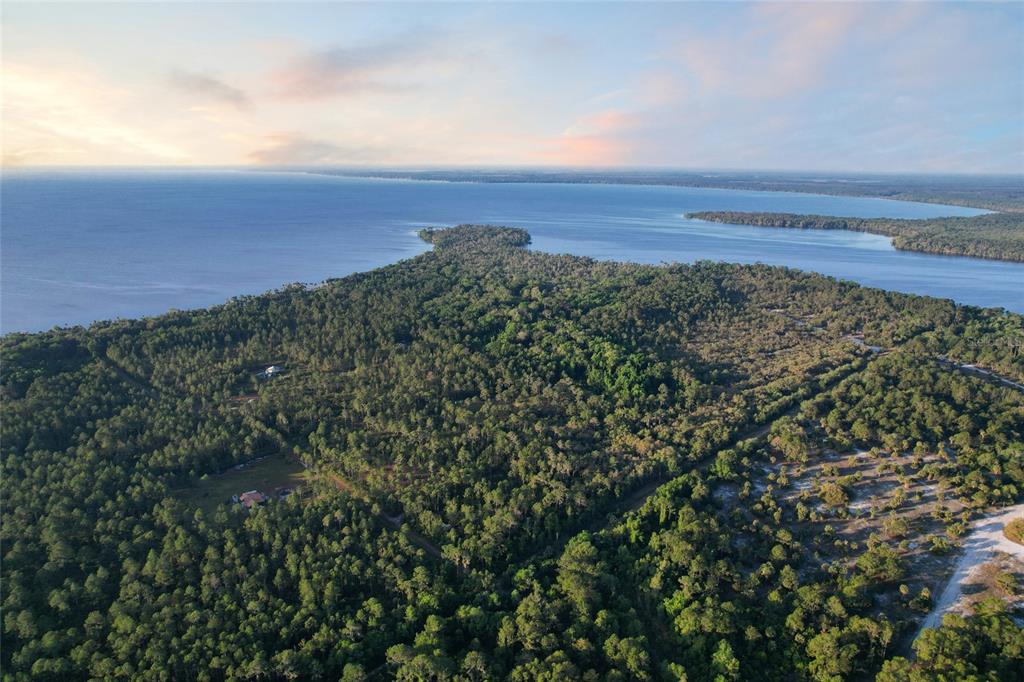 An aerial view of a forested peninsula extending into a large body of water — 356 DRAYTON ISLAND ROAD, GEORGETOWN, FL