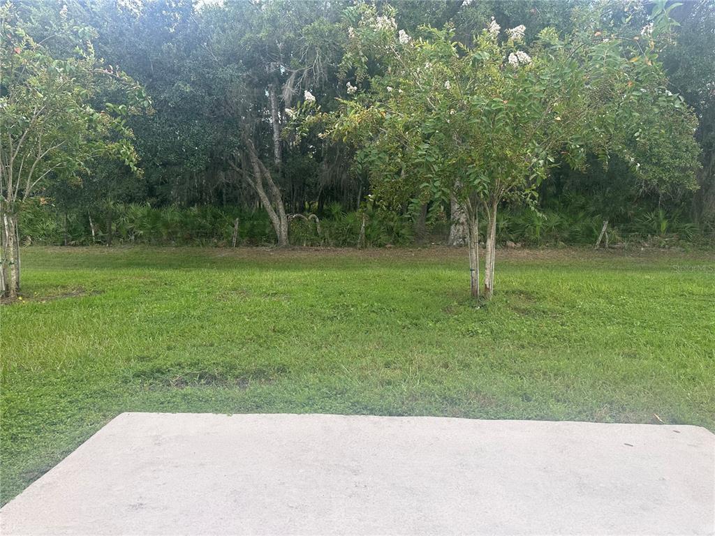 A concrete patio overlooks a grassy backyard with two small trees and a wooded area — 4439 TWISTED TWIG BEND, KISSIMMEE, FL
