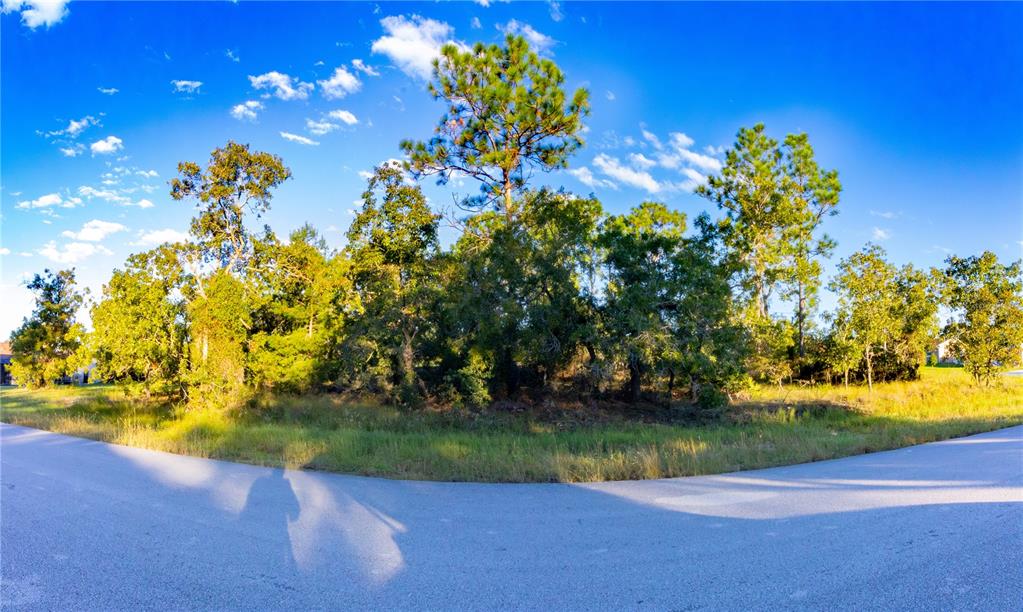 ONEIDA STREET, SPRING HILL, FL — photo 4 of 20