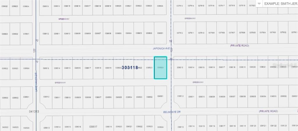 This is a plat map showing a highlighted parcel of land within a residential grid — 501 JAPONICA AVENUE, INDIAN LAKE ESTATES, FL