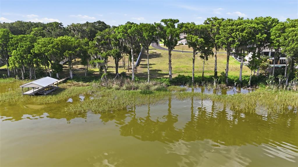 An aerial view shows a boat dock on a lakefront property with many tall trees — INDIAN TRAIL, EUSTIS, FL
