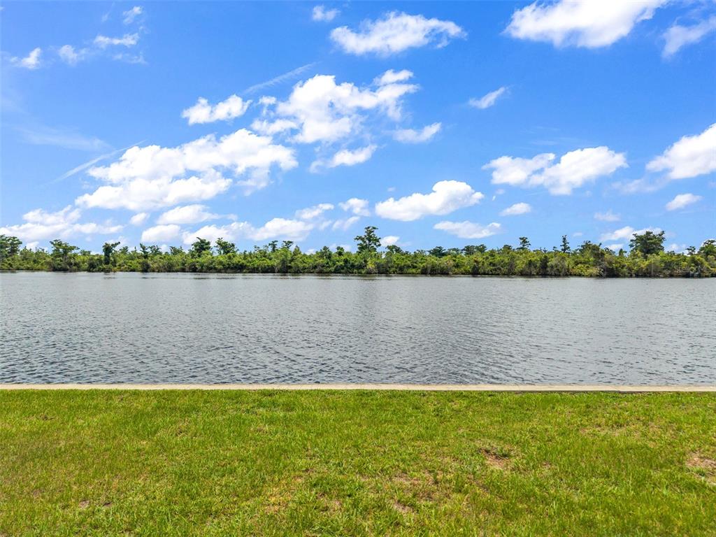 A grassy lawn borders a calm lake with a treeline under a blue sky — 10082 SW RIVERVIEW CIRCLE, ARCADIA, FL