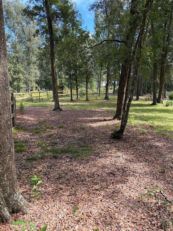 6401 SUNNYSIDE RANCH ROAD, BROOKSVILLE, FL — photo 3 of 30