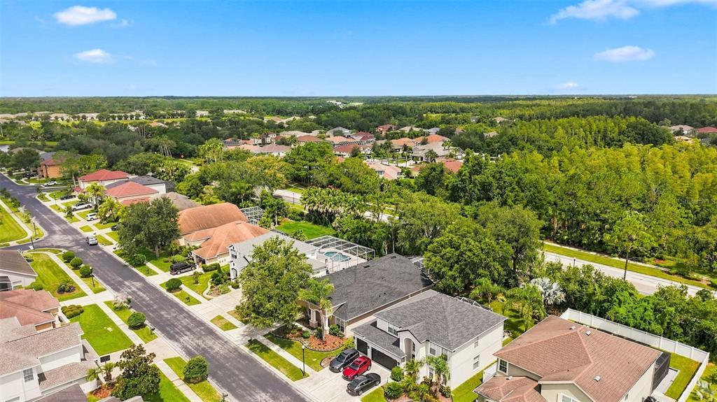 27417 SILVER THATCH DRIVE, WESLEY CHAPEL, FL — photo 5 of 71