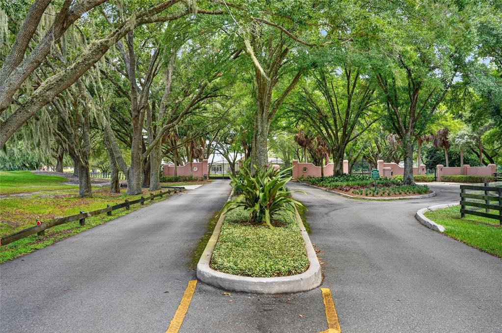 A paved driveway splits around a landscaped median under a canopy of large oak trees — 5 HICKORY HEAD HAMMOCK, THE VILLAGES, FL