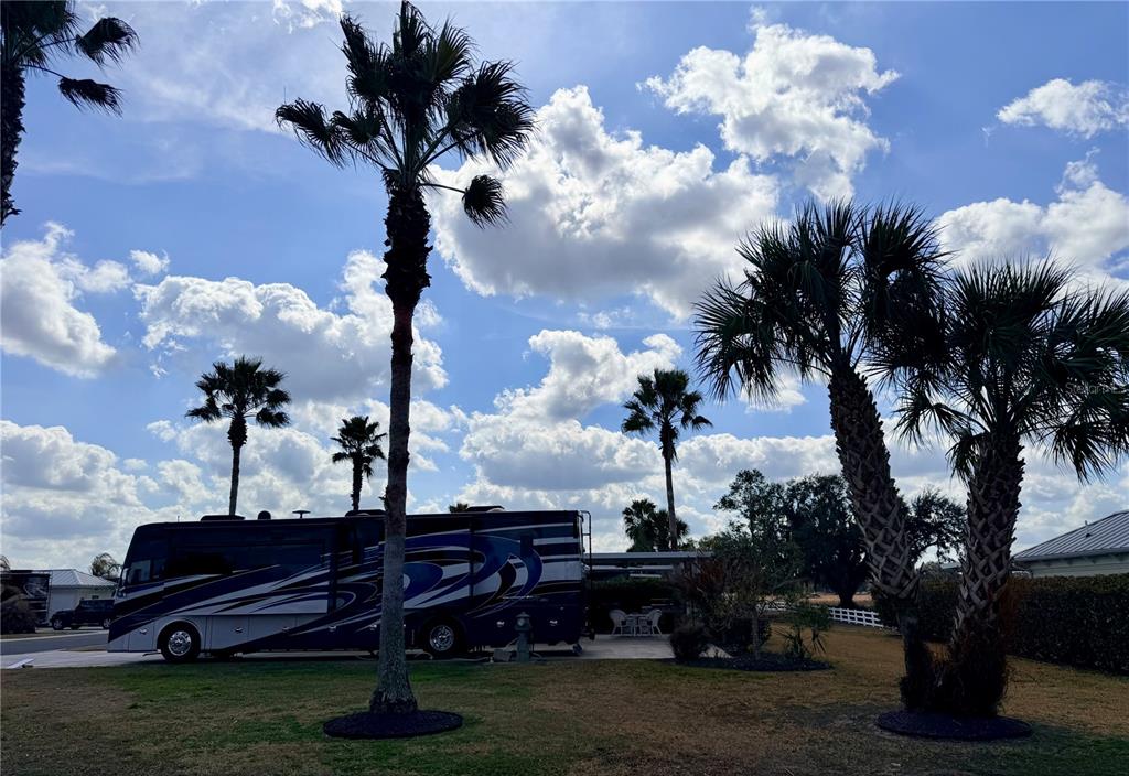 A large recreational vehicle is parked on a grassy lot with several palm trees — 9564 SE 47TH WAY, WEBSTER, FL