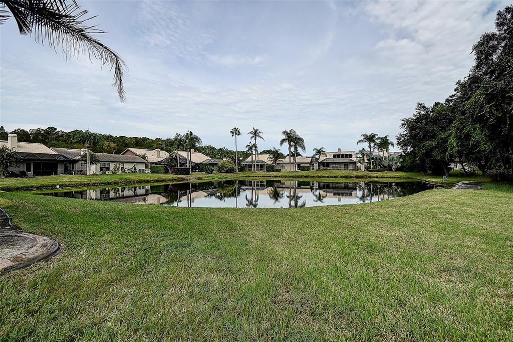 3609 DARSTON STREET, PALM HARBOR, FL — photo 2 of 30