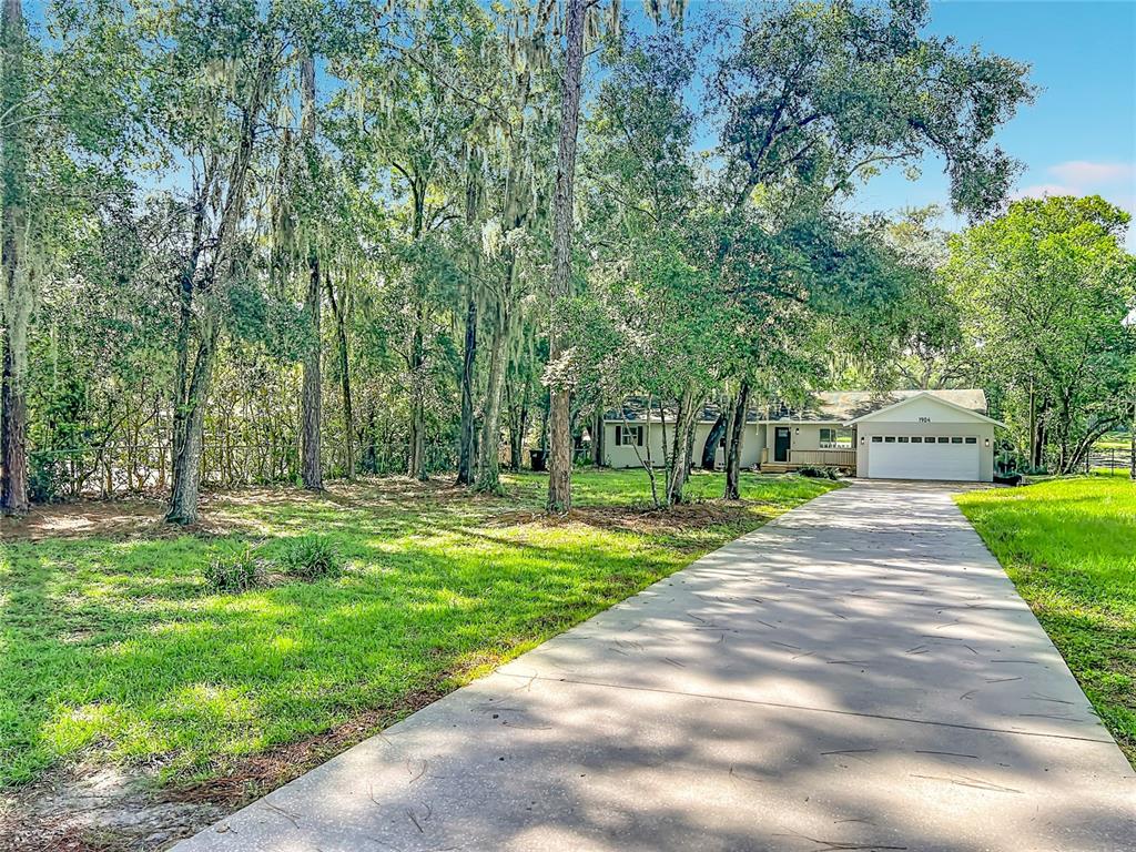 1904 LAKE ALMA DRIVE, APOPKA, FL — photo 3 of 30