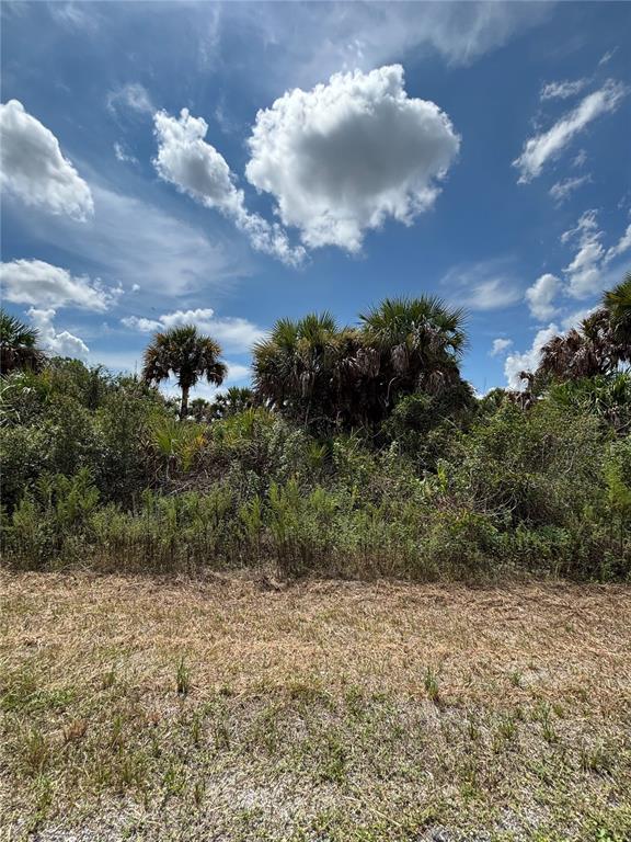 693 SALTWATER STREET SW, PALM BAY, FL — photo 4 of 5