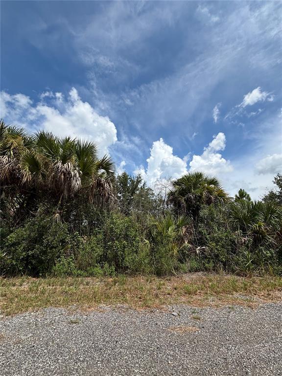 693 SALTWATER STREET SW, PALM BAY, FL — photo 5 of 5