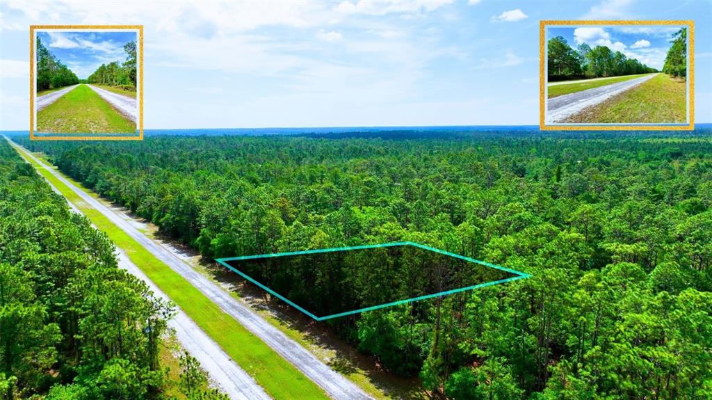 An aerial view shows a rectangular plot of land highlighted within a dense forest — TBD LOT 20 JAPONICA AVENUE, INDIAN LAKE ESTATES, FL