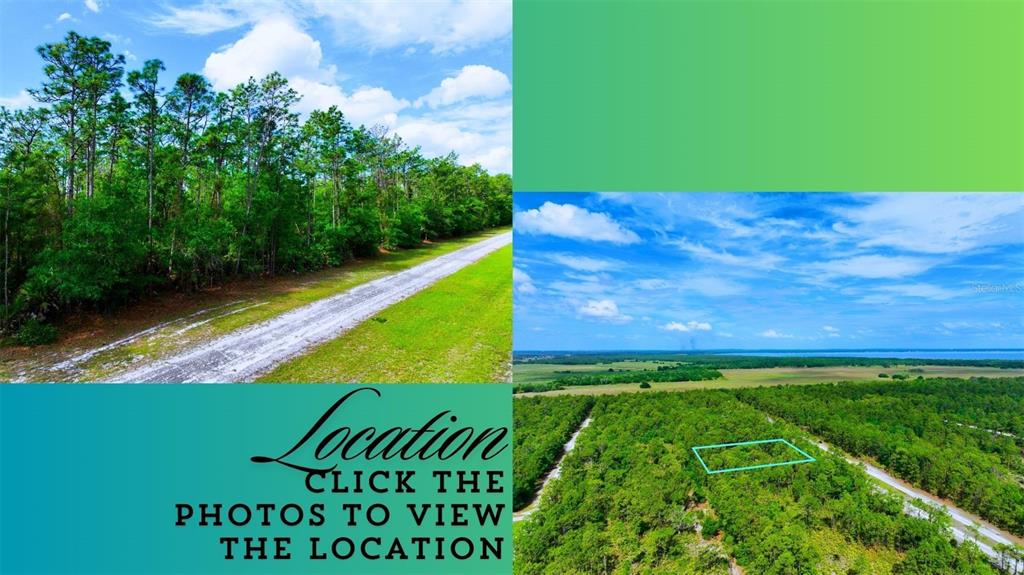 This image shows a split-screen view of a wooded lot and an aerial map — TBD LOT 20 JAPONICA AVENUE, INDIAN LAKE ESTATES, FL