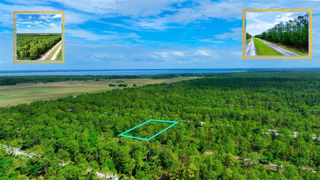 An aerial view shows a wooded lot outlined in blue with inset photos of nearby roads — TBD LOT 20 JAPONICA AVENUE, INDIAN LAKE ESTATES, FL