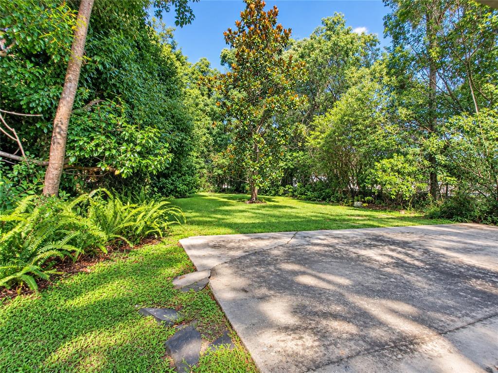 447 N PHELPS AVENUE, WINTER PARK, FL — photo 4 of 13