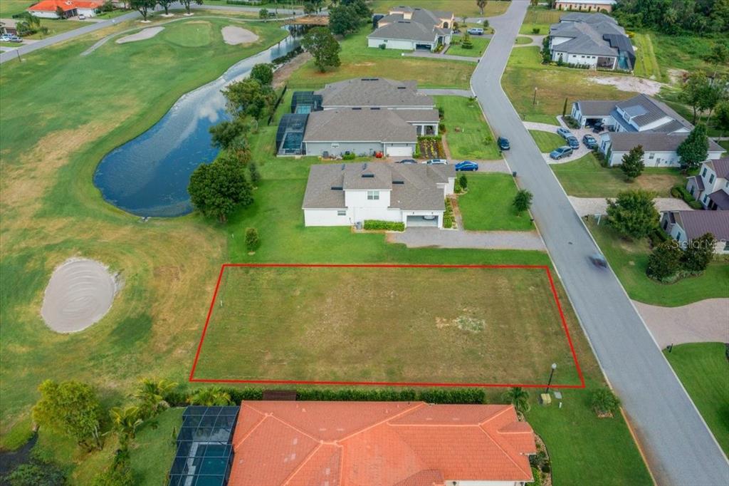 An aerial view shows a vacant rectangular lot outlined in red next to a road — LIVE OAK DRIVE, TAVARES, FL