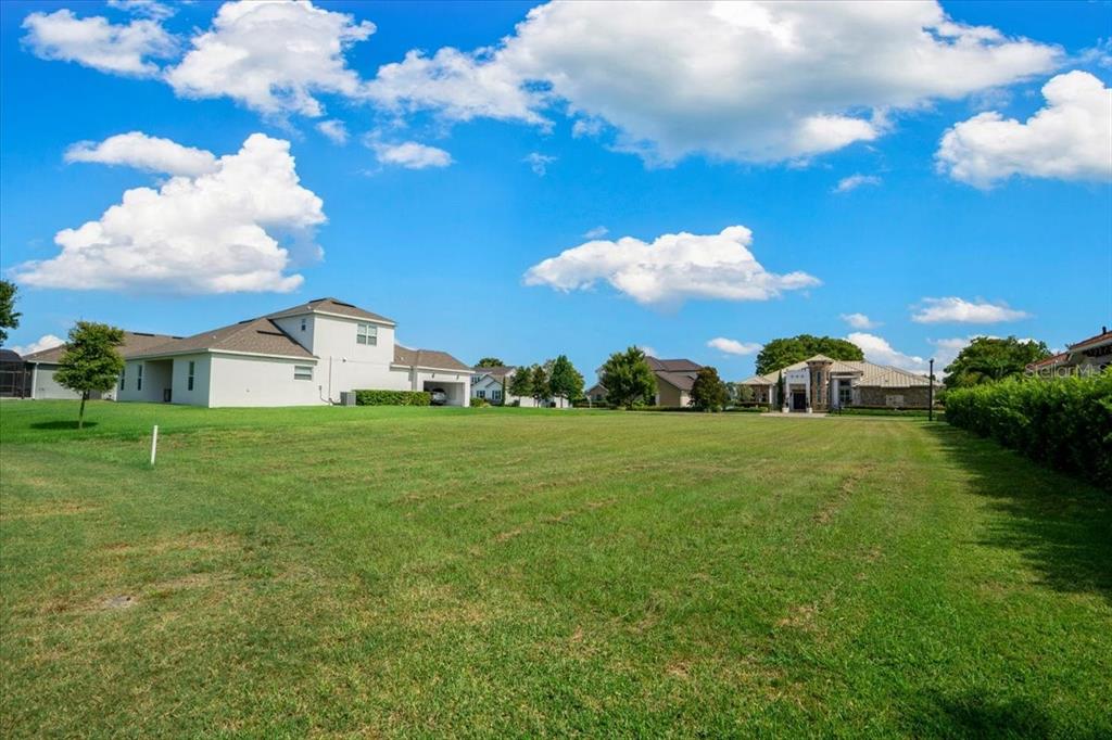 A large, grassy vacant lot sits between two suburban houses under a bright blue sky — LIVE OAK DRIVE, TAVARES, FL