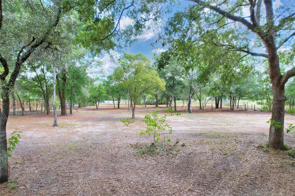 An aerial view shows a paved road running alongside a wooded lot with cleared areas — 11000 KITTEN TRAIL, HUDSON, FL