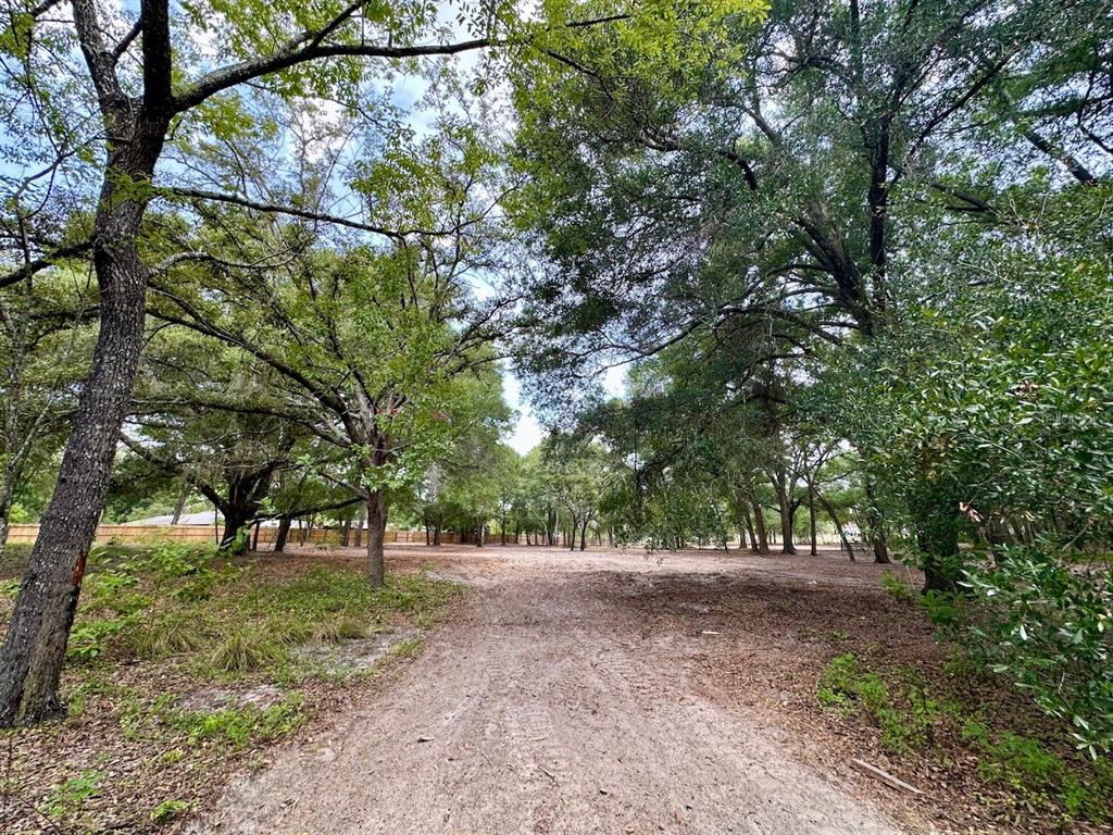 An aerial view shows a wooded residential lot marked by a red arrow — 11000 KITTEN TRAIL, HUDSON, FL