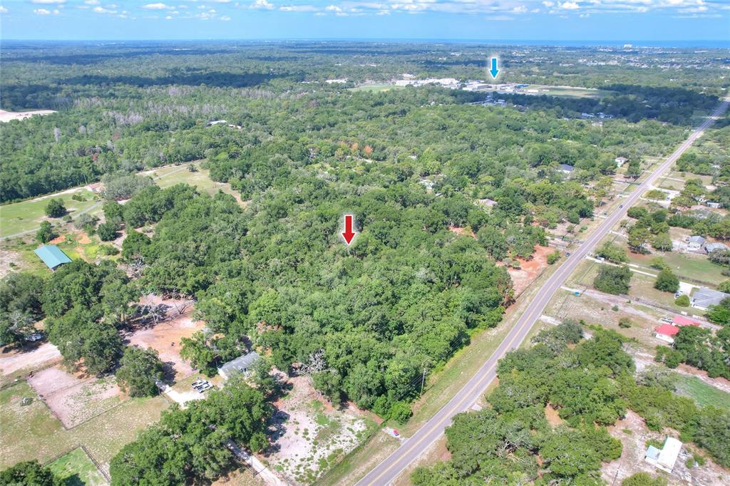 An aerial view shows a wooded lot with a red arrow pointing toward trees — 11000 KITTEN TRAIL, HUDSON, FL
