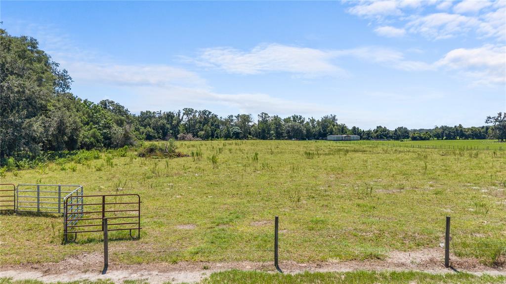A fenced, grassy pasture stretches toward a line of trees under a blue sky — NW 65TH AVENUE, TRENTON, FL