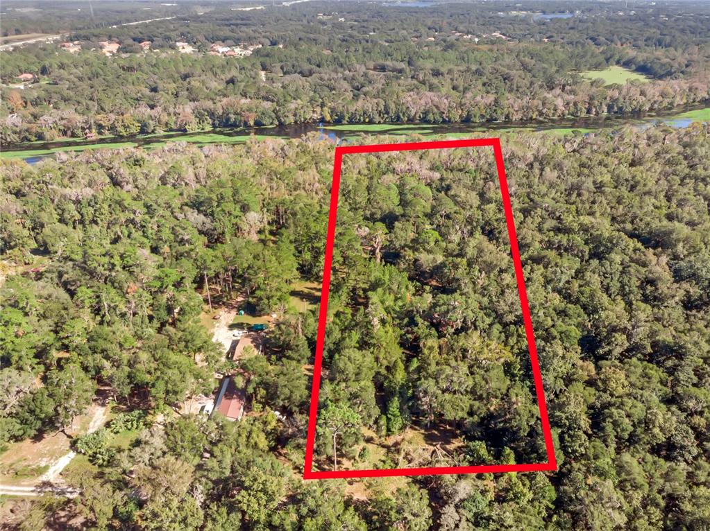 An aerial view shows a wooded lot outlined in red near a river — BRONSON ROAD, SORRENTO, FL