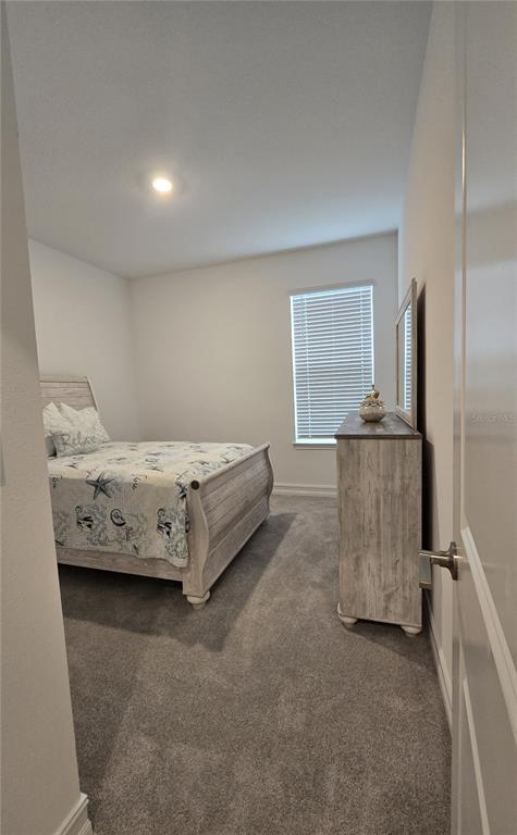 A bedroom features a light wood bed frame, a matching dresser with a mirror, and carpet — 7518 117TH LANE E, PALMETTO, FL