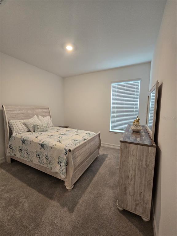 A bedroom features a light wood bed frame, matching dresser with mirror, and gray carpeting — 7518 117TH LANE E, PALMETTO, FL