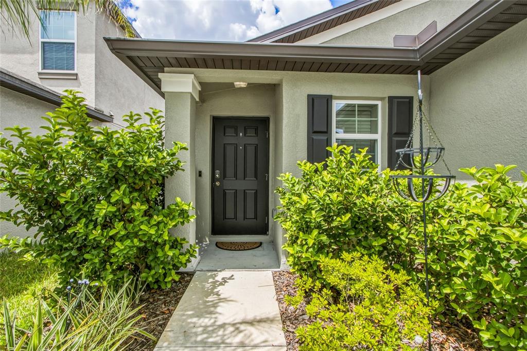 A concrete walkway leads to the black front door of a house with green landscaping — 165 ARGYLL DRIVE, SPRING HILL, FL