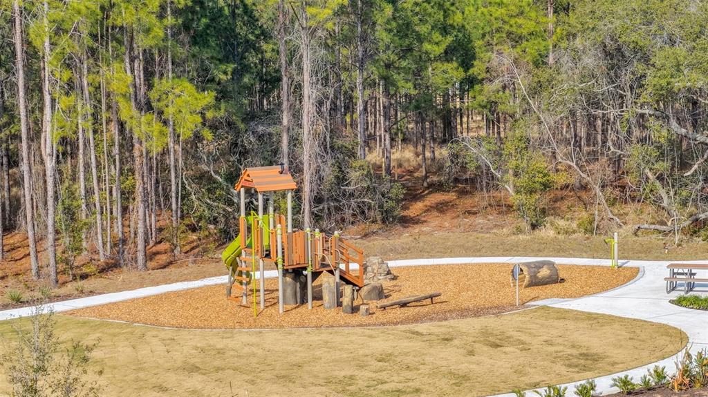 5954 FLOWERING CHERRY BEND, WINTER GARDEN, FL — photo 3 of 5