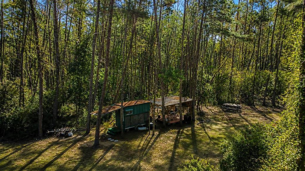 An aerial view shows a small cabin with an attached covered patio in a forest — 0 5TH STREET, ALTOONA, FL