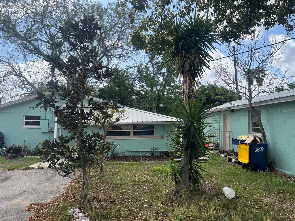 A light green, single-story house with a metal roof and a large palm tree — 737 ALBROOK STREET, MASCOTTE, FL